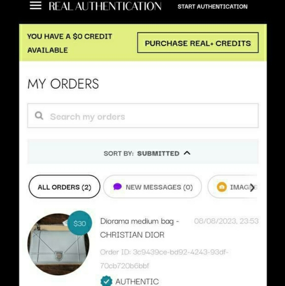 Dior Diorama - Picture 9 of 9